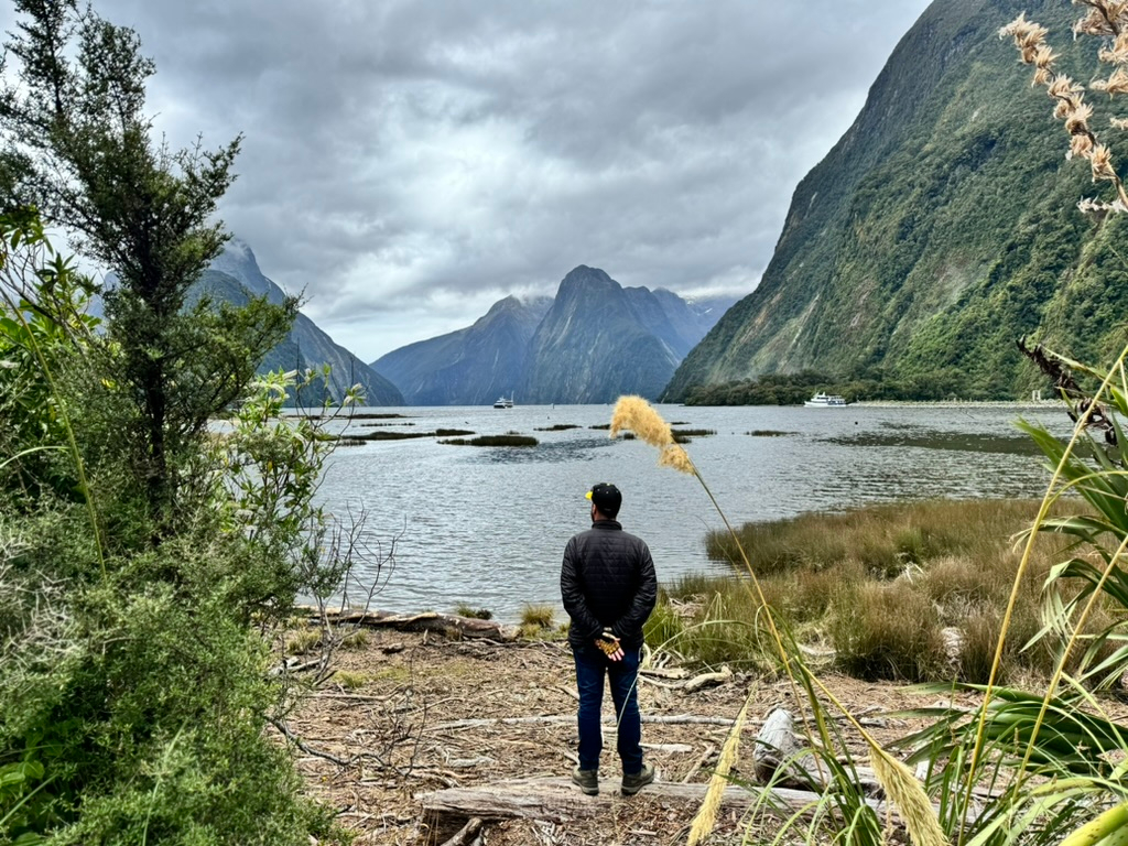 A man admiring Milford Sound, New Zealand