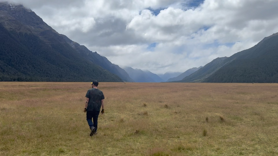 A man strolling through a field on the drive to Milford Sound in New Zealand