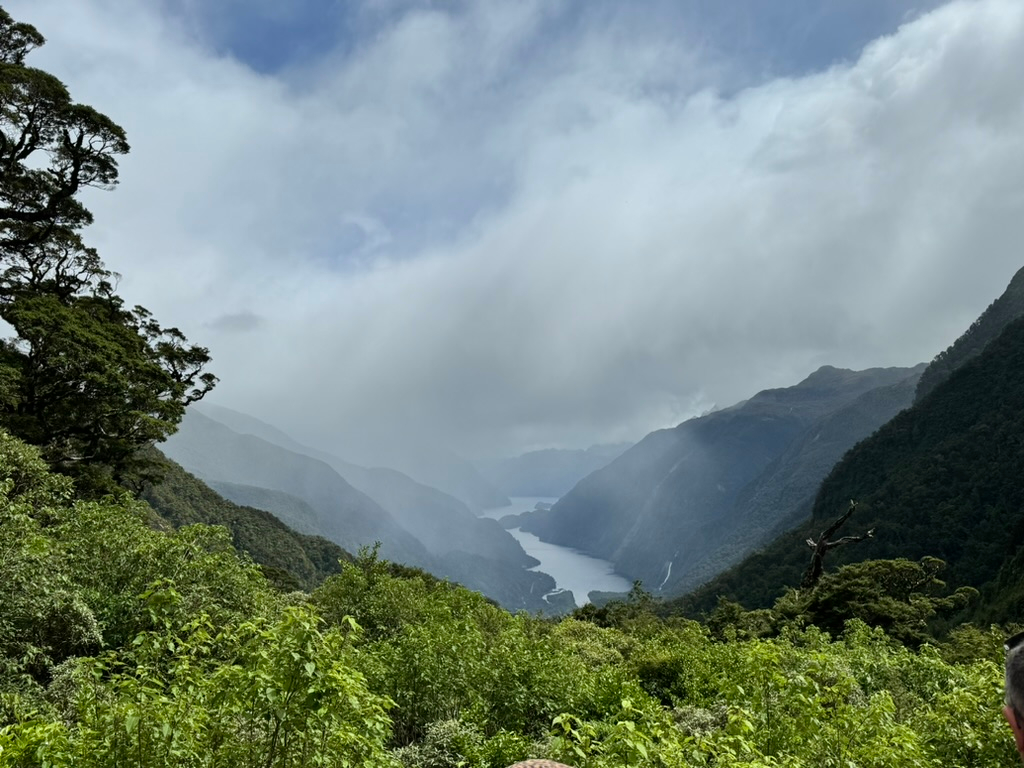 A picturesque view of Doubtful Sound, New Zealand