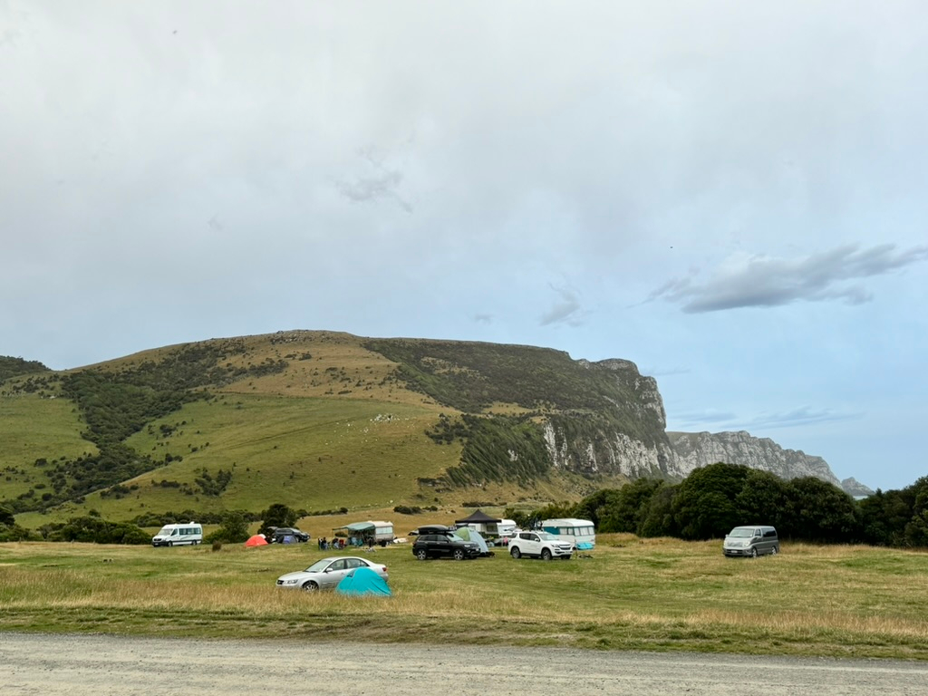 Campsites at Purakaunui Bay Campsite in New Zealand