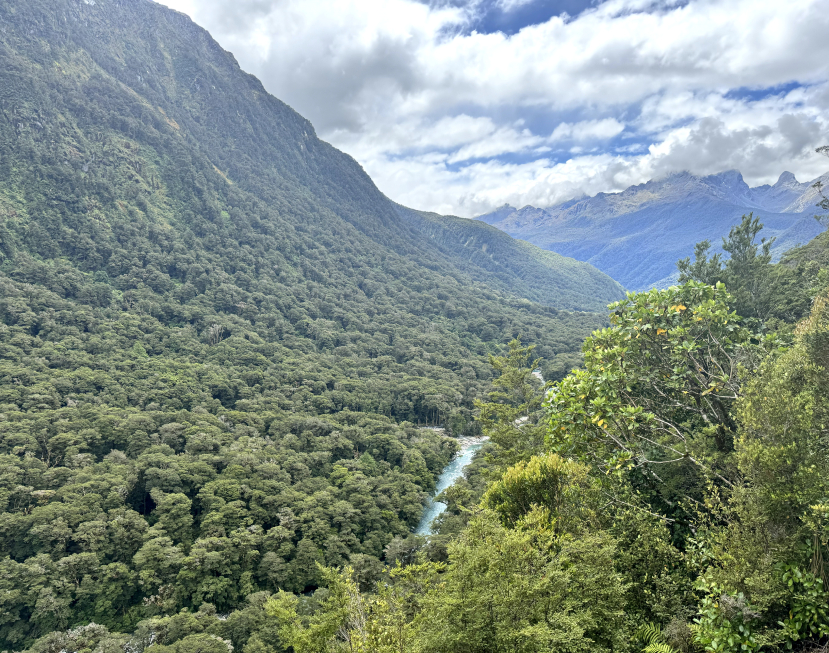 Grandiose views on the drive to Milford Sound, New Zealand