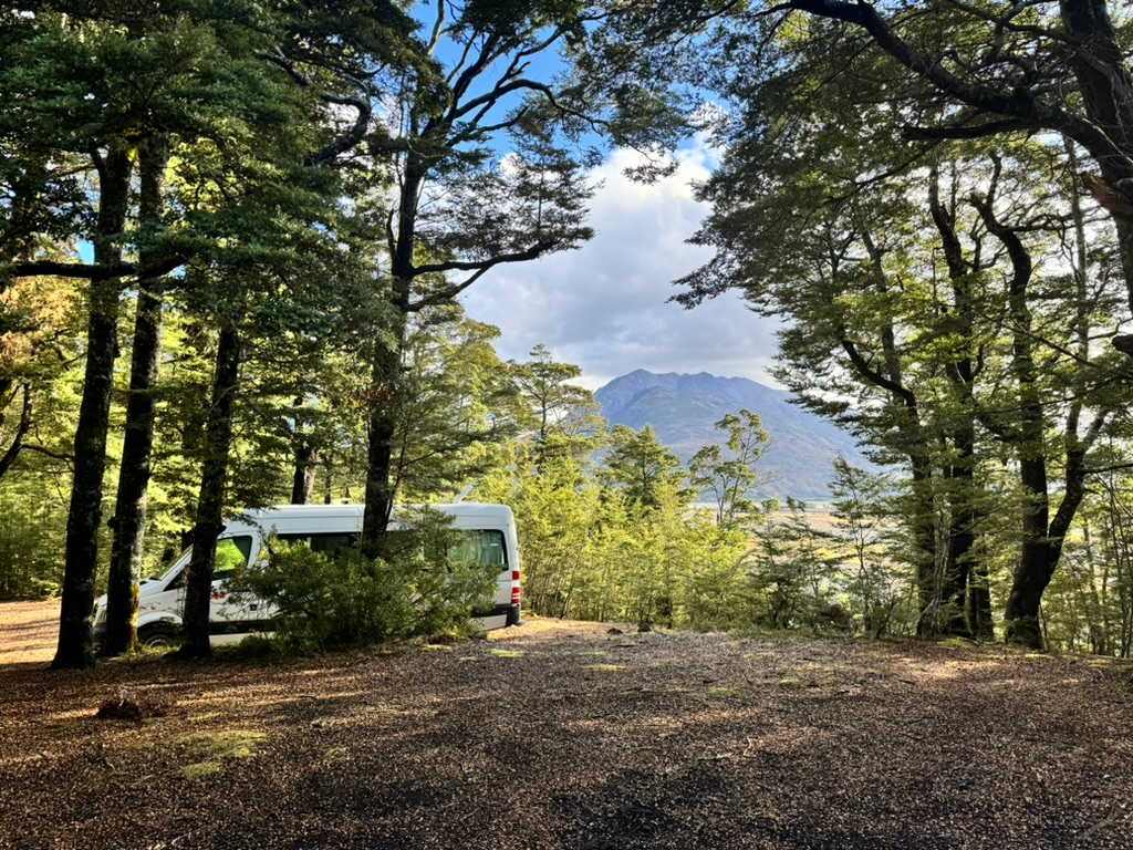 RV in Hawdown Shelter Campgrounds in New Zealand