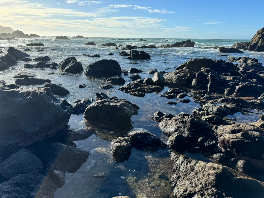 Ocean Beach, the destination of Wharekai Te Kou Walk in Jackson Bay, New Zealand