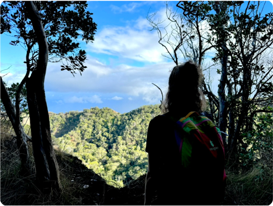 Hiker on Awa’awapuhi Trail in Kokee State Park on Kauai, Hawaii, USA