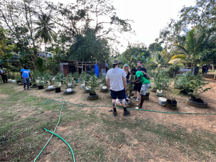 A group of tourists learning about the marijuana-growing process outside of Negril, Jamaica