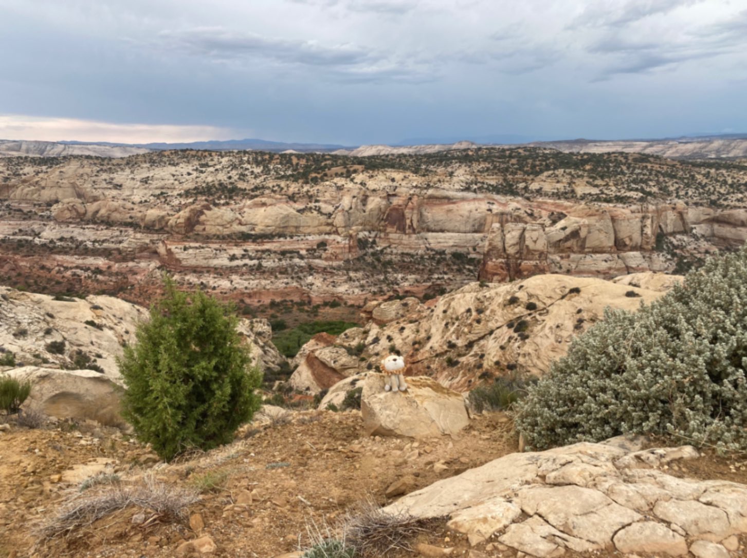 Lion stuffed animal amidst views of Grand Staircase-Escalante National Monument in Escalante, Utah, USA