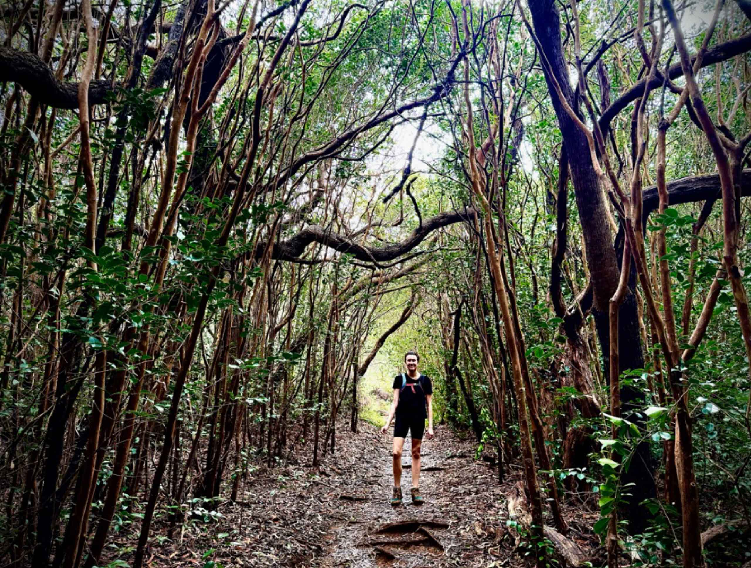 Woman hiking on the Awa’awapuhi Trail in Kokee State Park on Kauai, Hawaii, USA