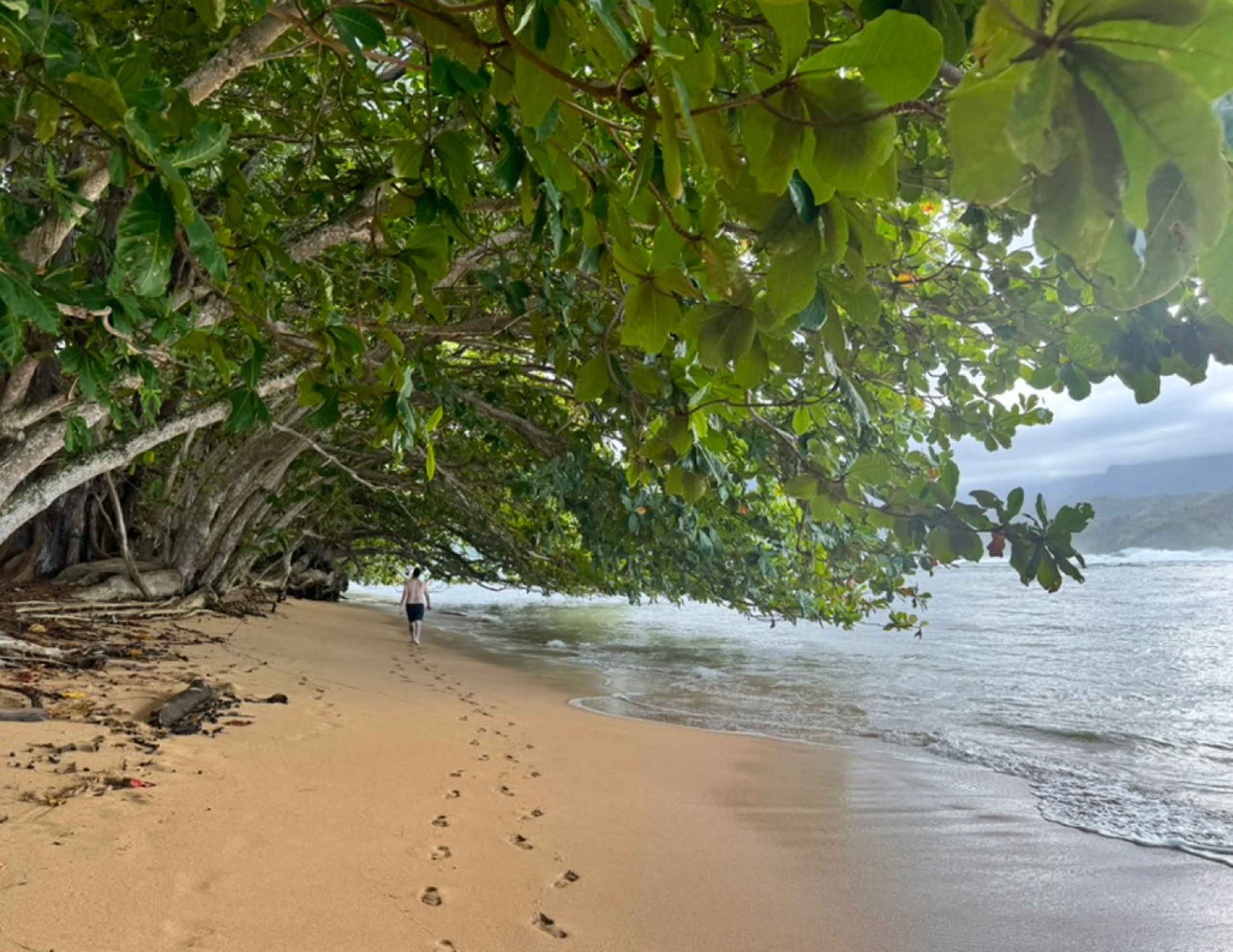 Man walking down beach with his footsteps behind him and trees bending toward ocean at 1 Hotel Hanalei Bay's beach in Kauai, Hawaii, USA